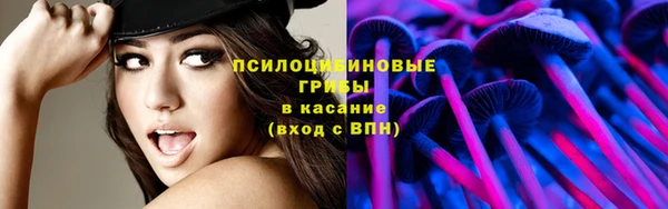 тгк Володарск