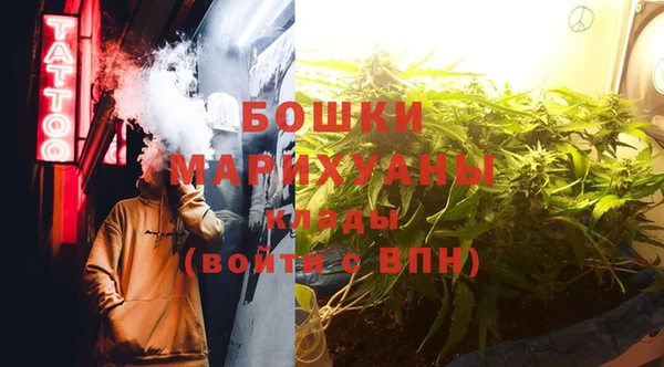 гидра Верея