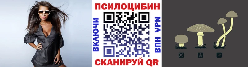 гидра ссылка  Нолинск  darknet какой сайт  Псилоцибиновые грибы мухоморы 