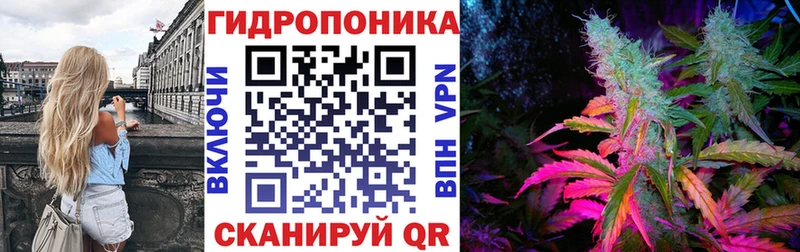 Бошки Шишки марихуана  Нолинск 
